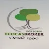 Agencias de seguros en Castellón de la Plana Listado agencias seguros España artículos sobre compañías de seguros Negocio Ecocasbroker S.l.